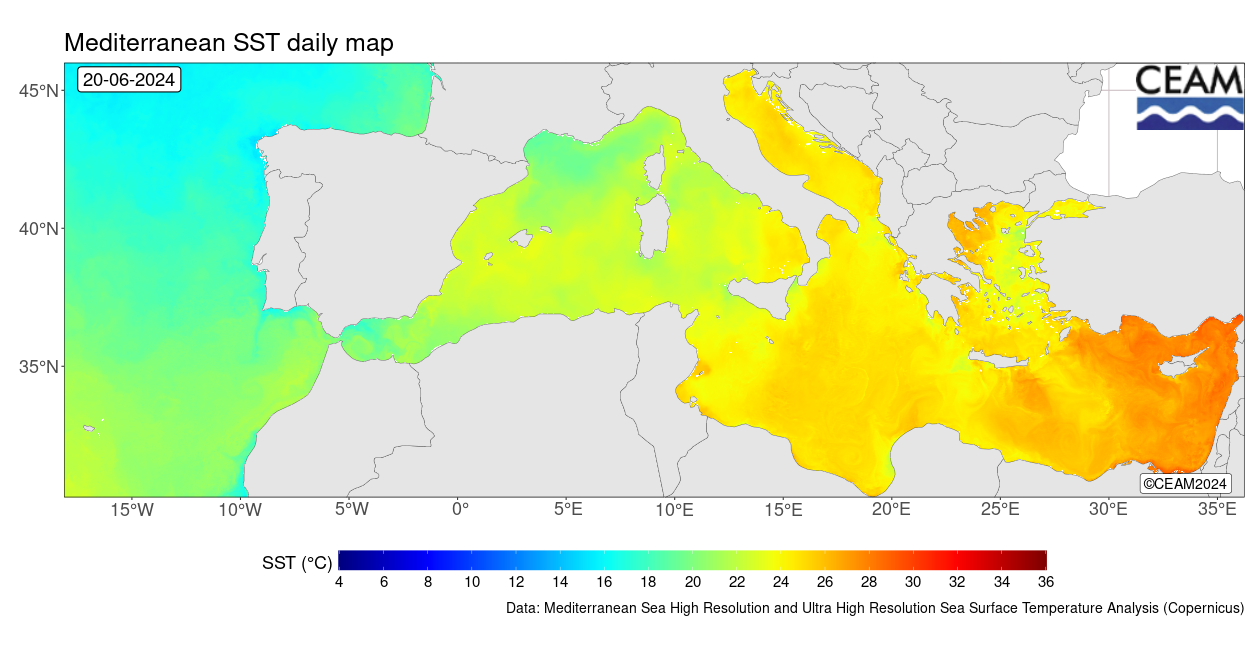 Latest SST daily map (source: ISAC-CNR)