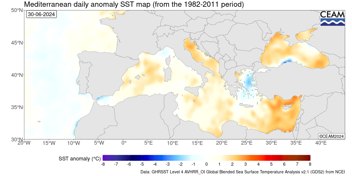 Latest daily SST anomaly