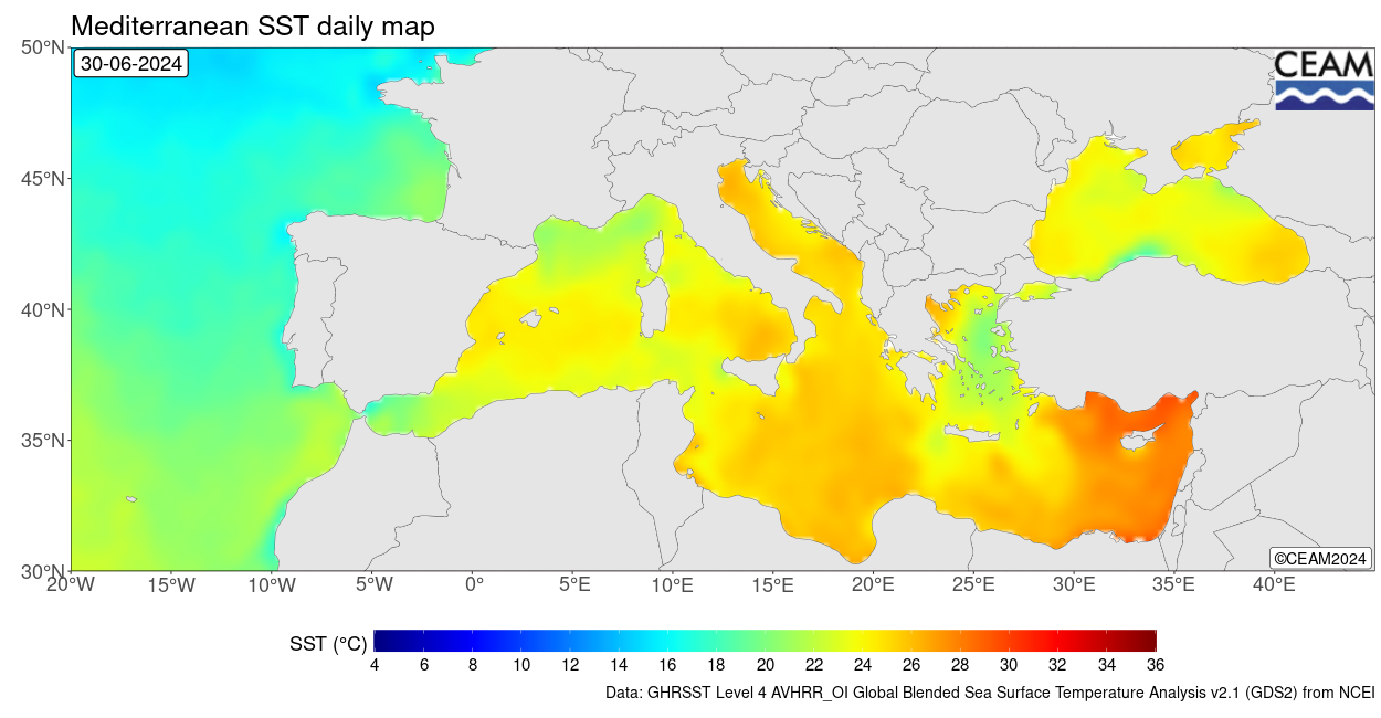 Latest SST daily map (source: NCEI)