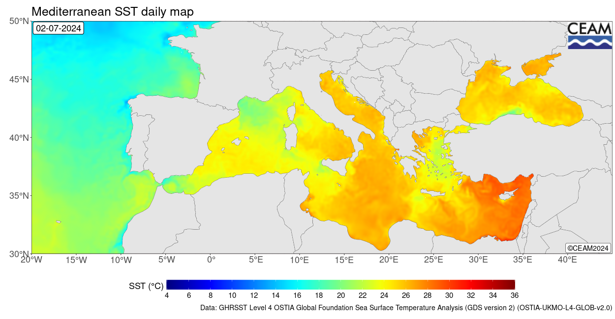 Latest SST daily map (source: MetOffice)